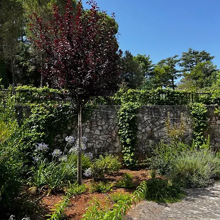 Dimora Di Bari Holiday home