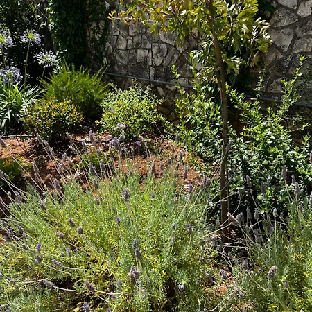 Σπίτι διακοπών Dimora Di Bari *