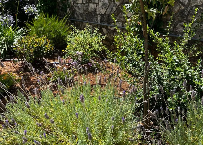 Casa vacanze Dimora Di Bari *